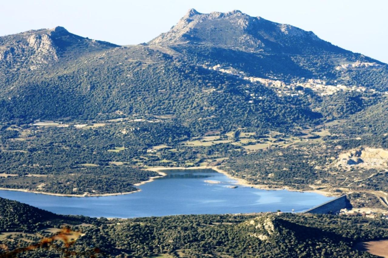 Vacancorse Maison U Canale Speloncato  المظهر الخارجي الصورة