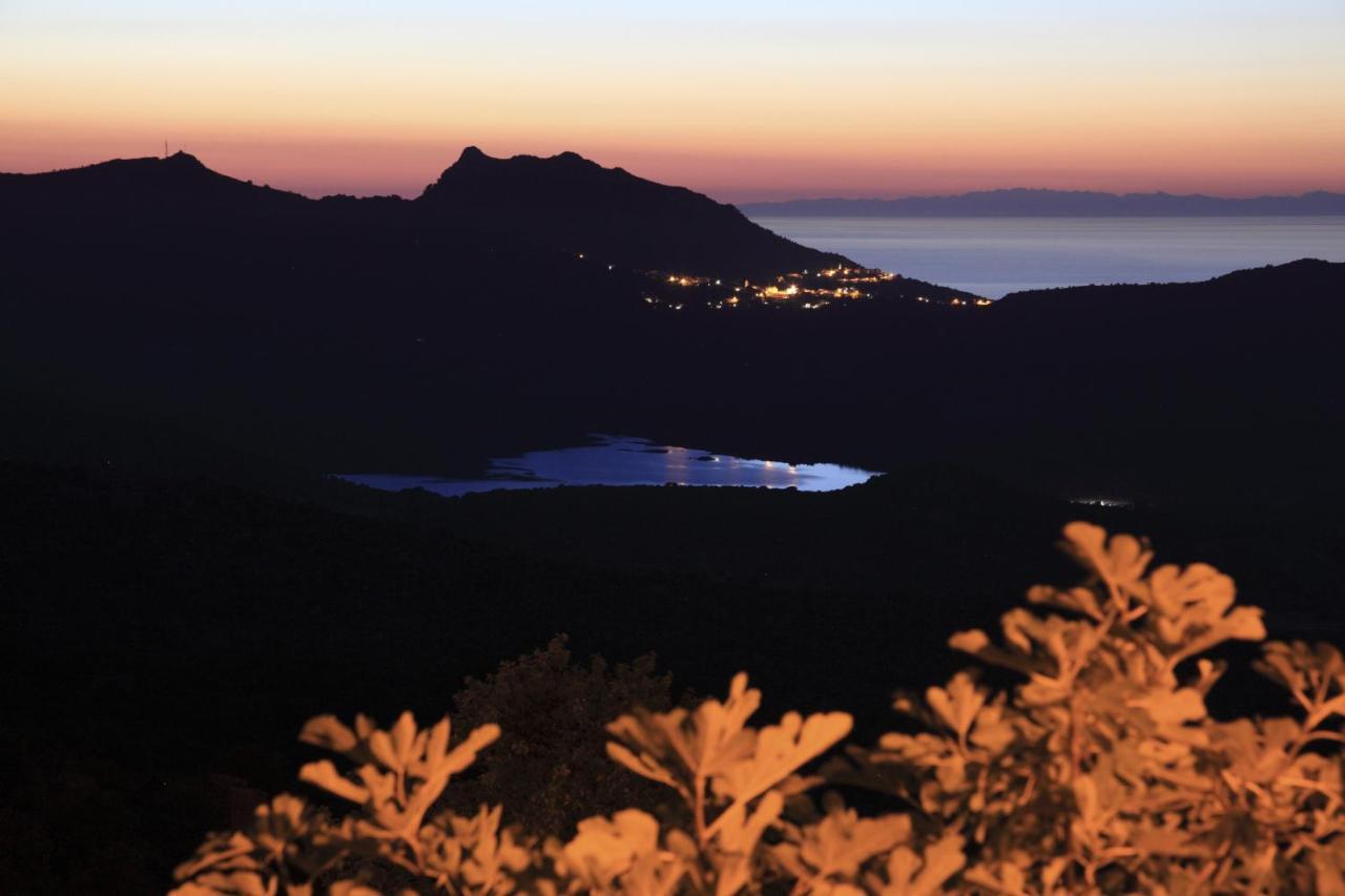 Vacancorse Maison U Canale Speloncato  المظهر الخارجي الصورة